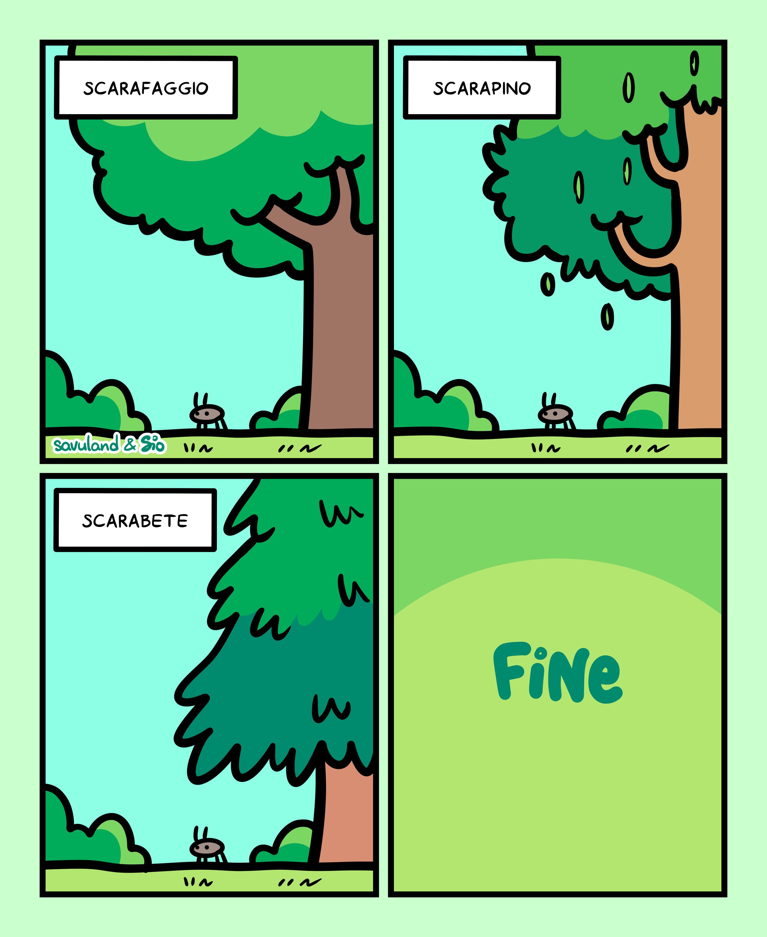 1
Titolo vignetta: Scarafaggio.
Vediamo un piccolo scarafaggio vicino a un albero... il faggio.
2
Titolo vignetta: Scarapino.
Vediamo un piccolo scarafaggio vicino a un albero... il pino.
3
Titolo vignetta: Scarabete.
Vediamo un piccolo scarafaggio vicino a un albero... l'abete.
4
FINE