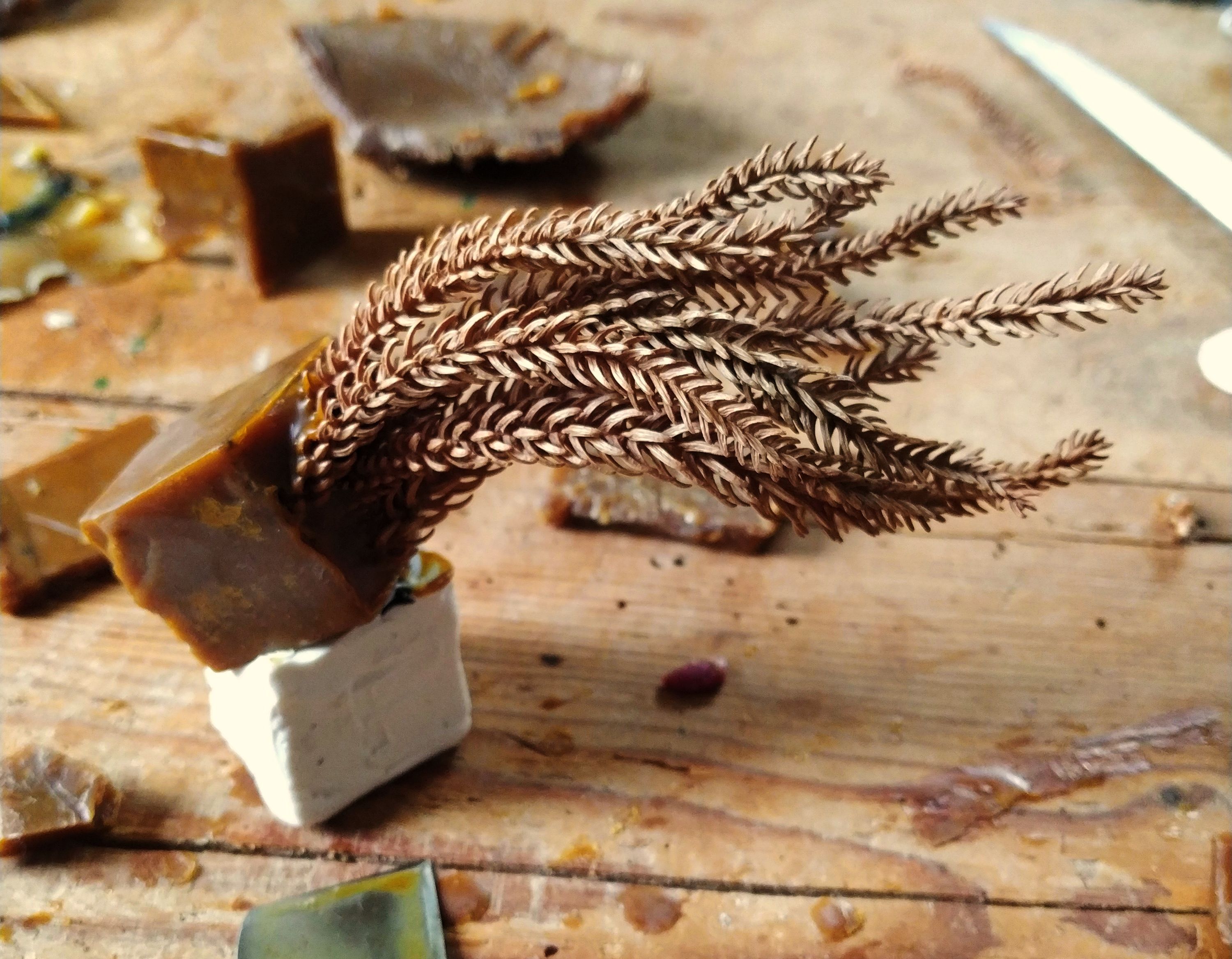 Several twisted and brown dry araucaria leaves (they look like spiky twigs) are attached to a tilted brown wax cube, which rests on top of a white plasticine cube of the same size (this was temporary). All of it is on a wooden table with some dirty metal tools, drops and pieces of wax.
The leaves extend from a diagonal plane of the cube, starting close together and getting more separated at the end, describing sinuous shapes.