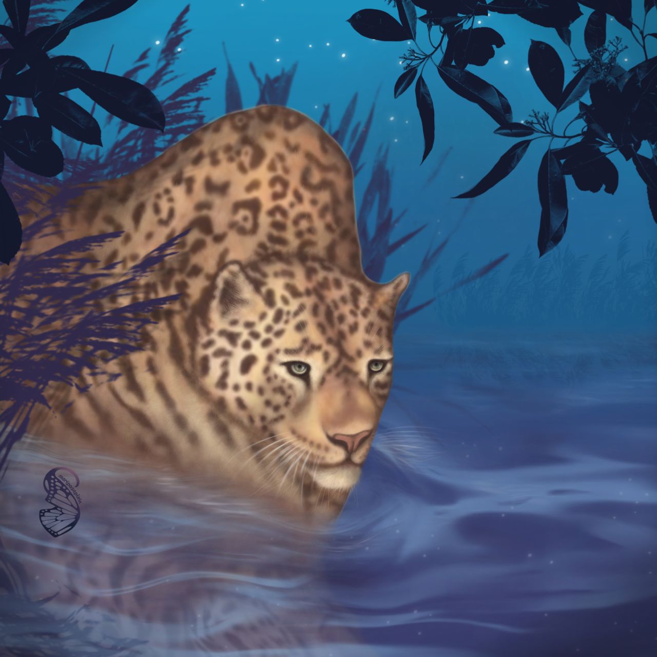 Digital painting of a leopard walking through water at night under a starry sky with silhouetted foliage in the top half.

Art by @ mariposapixie (me) 