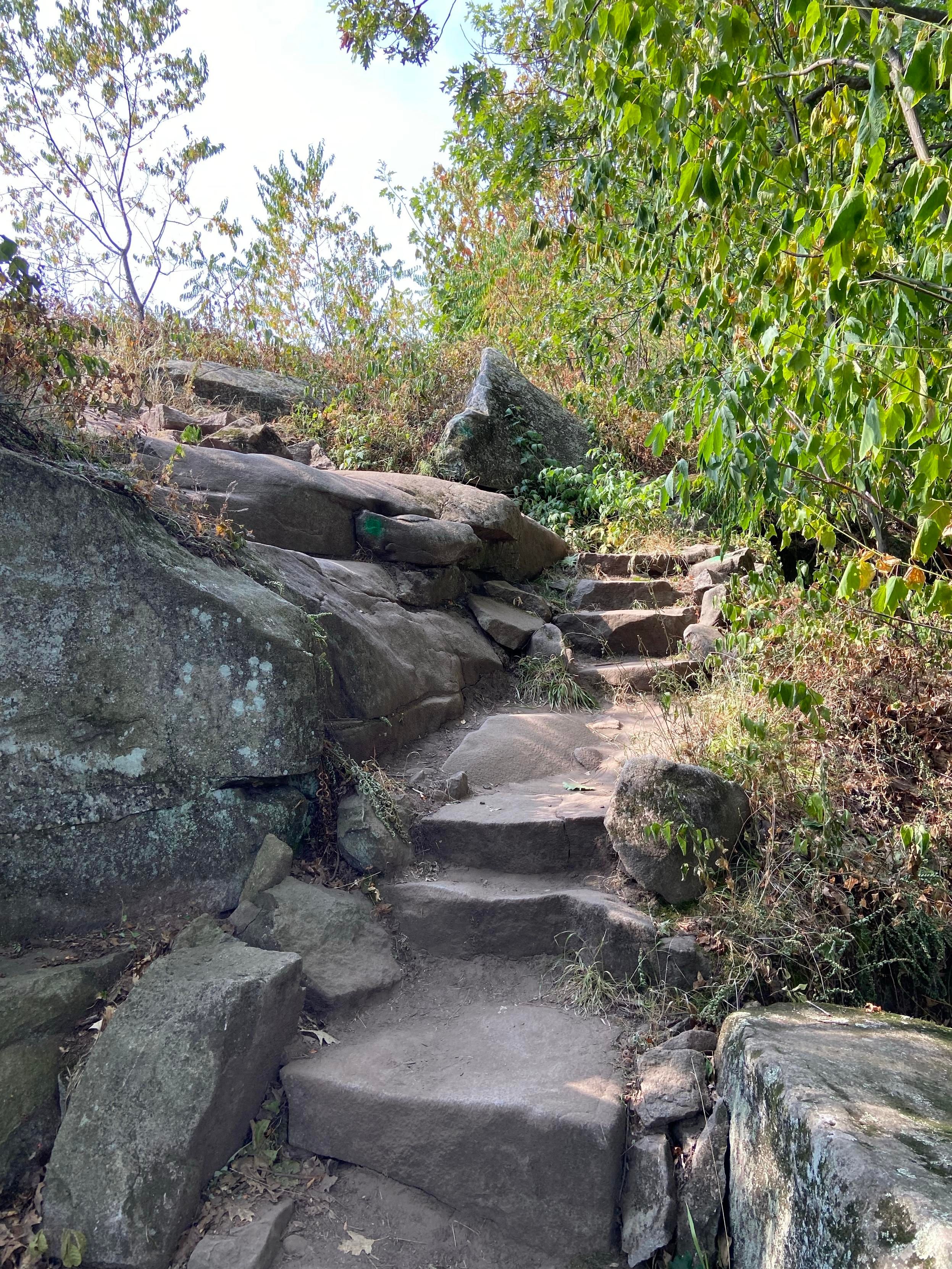 Looking uphill at a series of dusty stone steps, with boulders to the left and plants to the right
