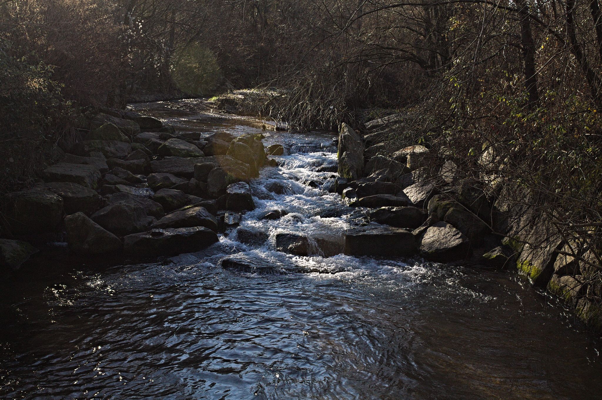 A stream running on rocks with the woods to both sides.