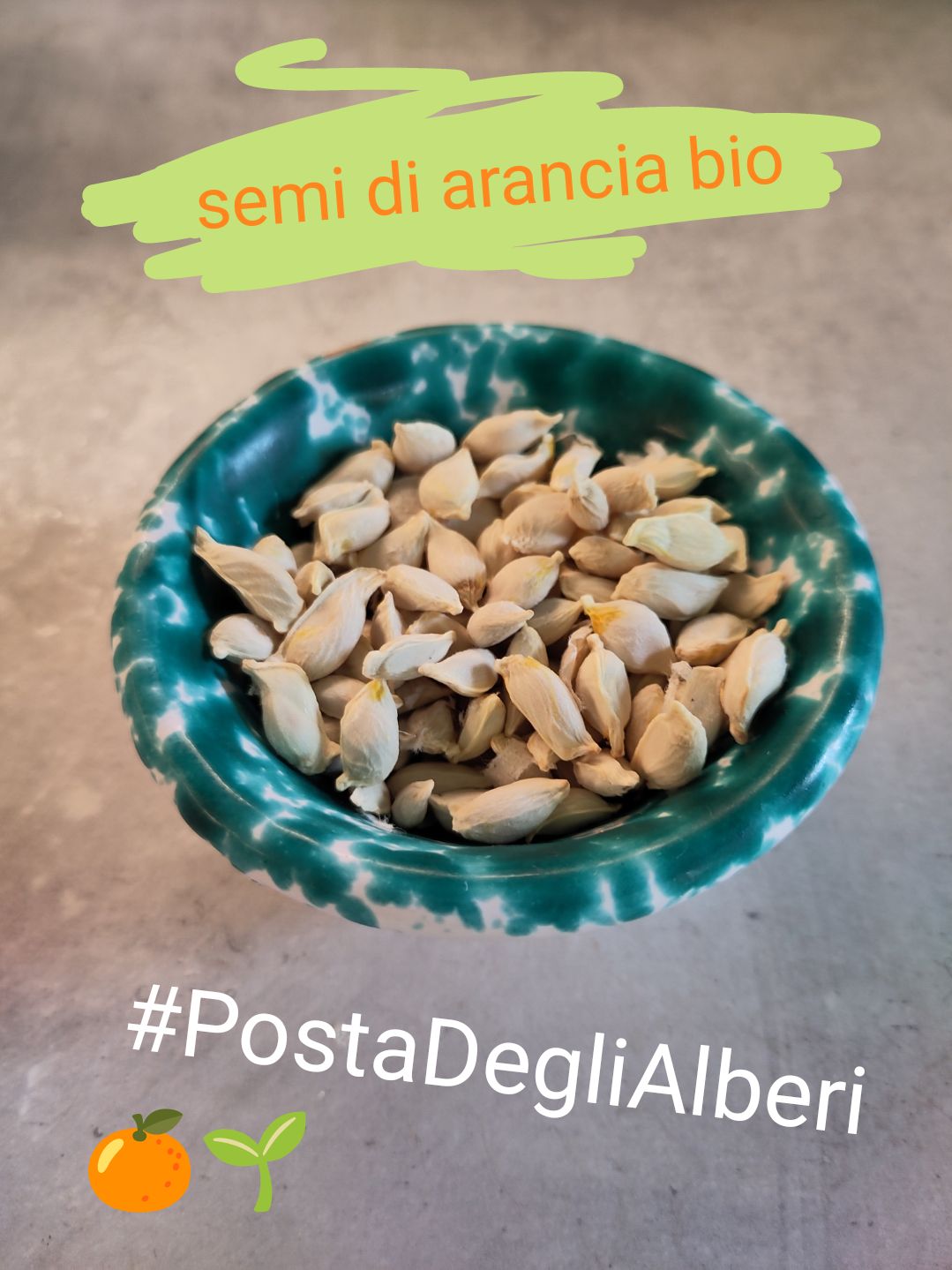 una terrina di ceramica laccata di bianco e verde contenente semi di arancia. 
in alto vi è scritto "semi di arancia bio" ed in basso "#PostaDegliAlberi"