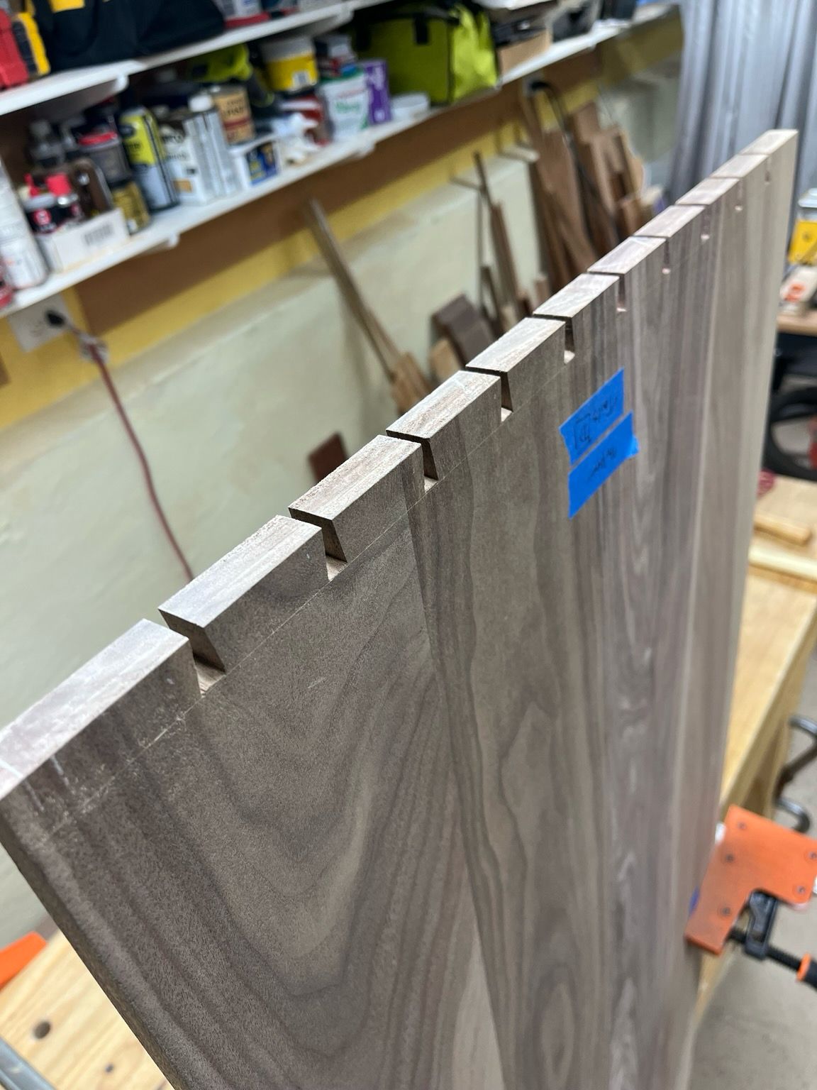 The waste cut out between dovetail joints in a walnut panel.