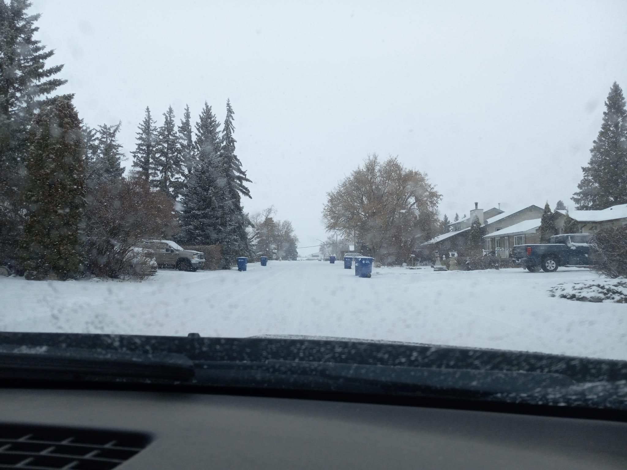 A view looking along a road between houses, taken from inside a car.  There's so much snow on the road that the only way you can tell it's a road is there is a gap between houses and trees, and garbage cans in 2 parallel lines along the road.    The sky is white and the same colour as the snow on the ground.
