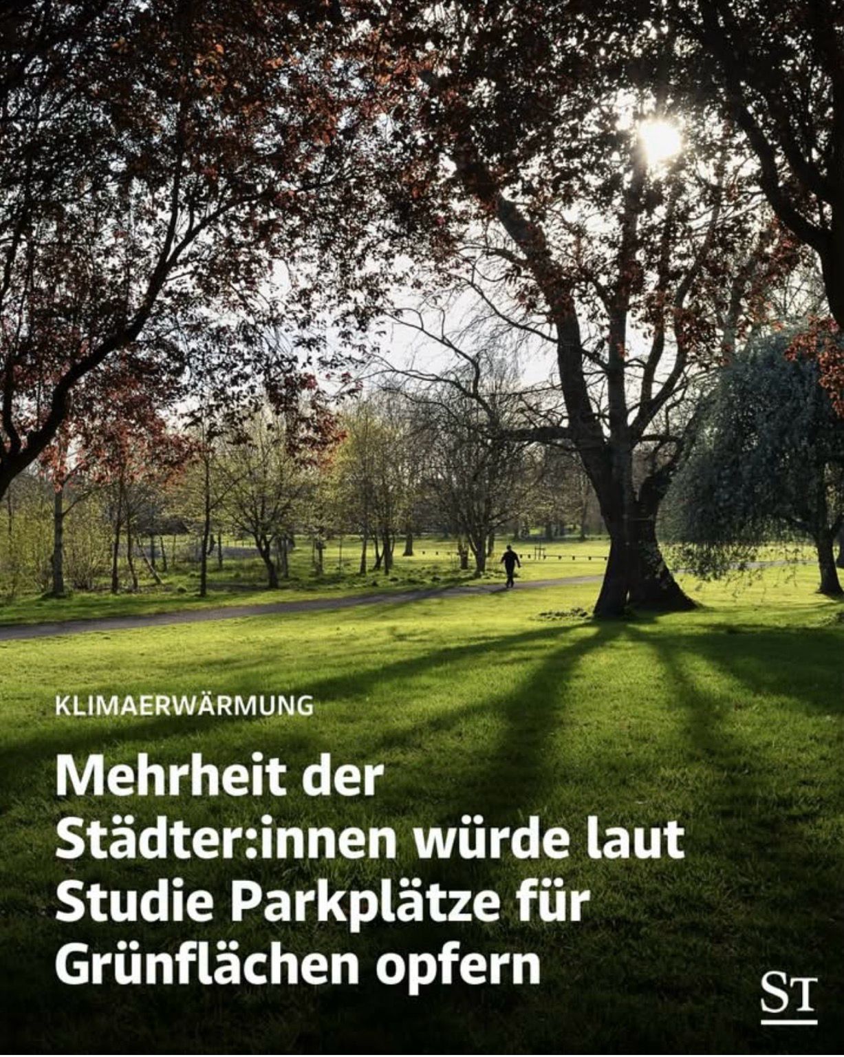 Bild: Bäume in einem Stadtpark Text:  KLIMAERWÄRMUNG Mehrheit der Städter:innen würde laut Studie Parkplätze für Grünflächen opfern