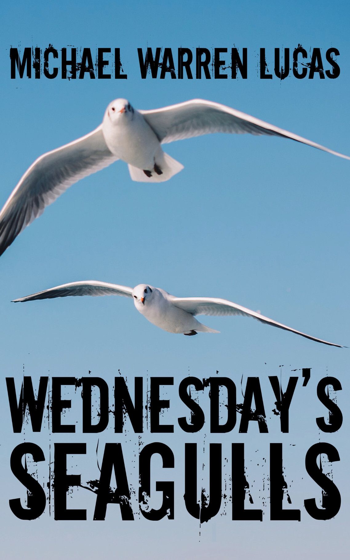 The cover for Wednesday's Seagulls by Michael Warren Lucas, showing seagulls in a barren blue sky