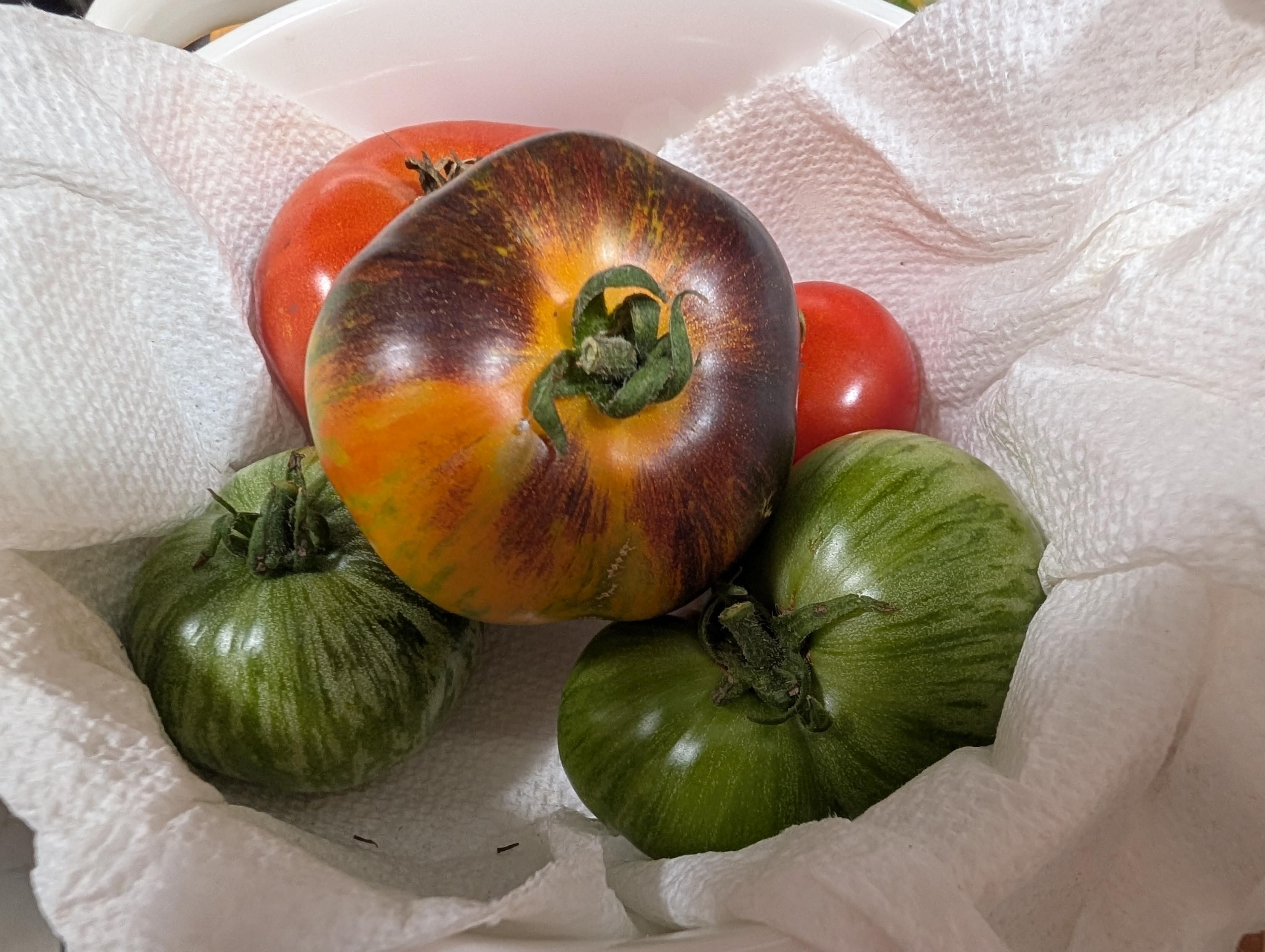 Five small tomatoes in a scrunched up paper towel. Two are red, two are light green with dark green stripes, and the final one is orange and purple.