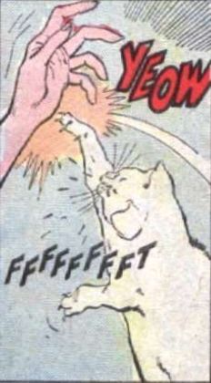 Cat scratches person