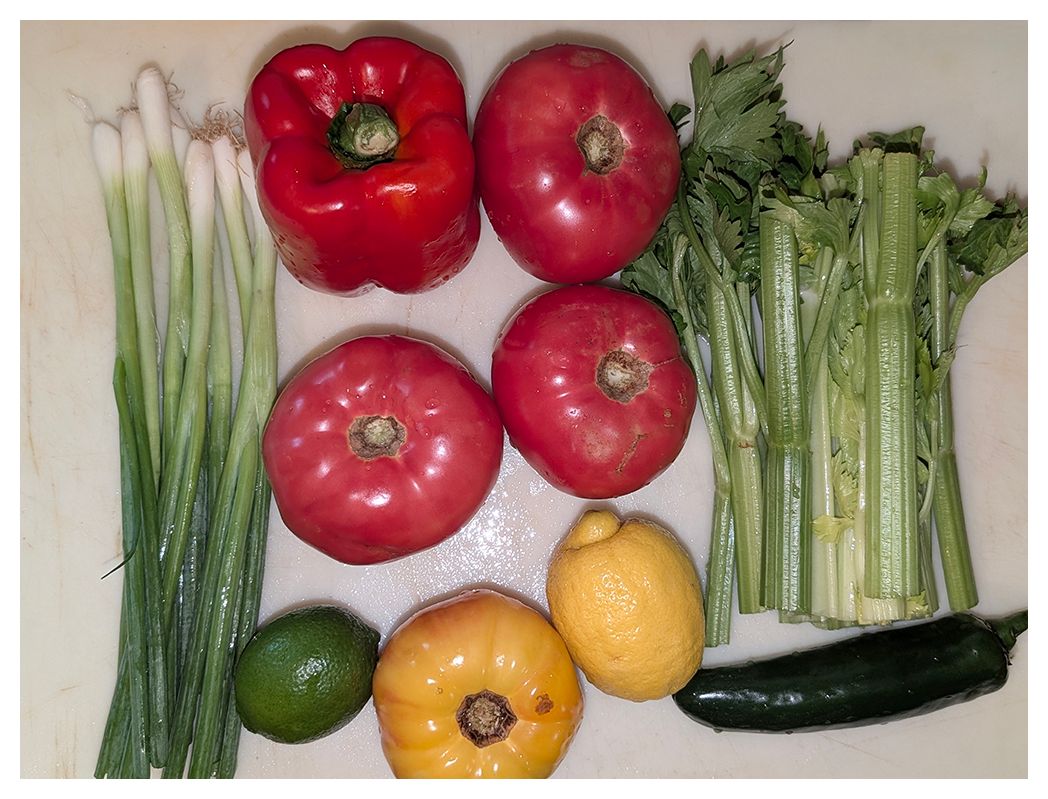flash. overhead view of fresh-washed veg on a white cutting board: spring onions, red bell pepper, tomatoes, lemon and lime, celery and a jalapeno pepper.