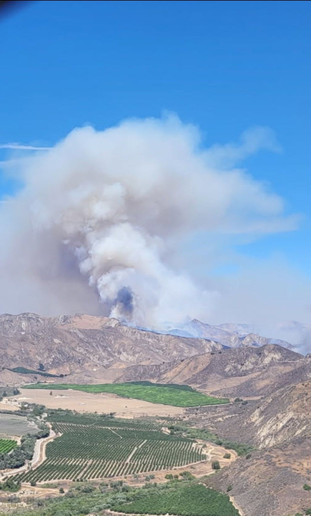 Ash and smoke from wildfire