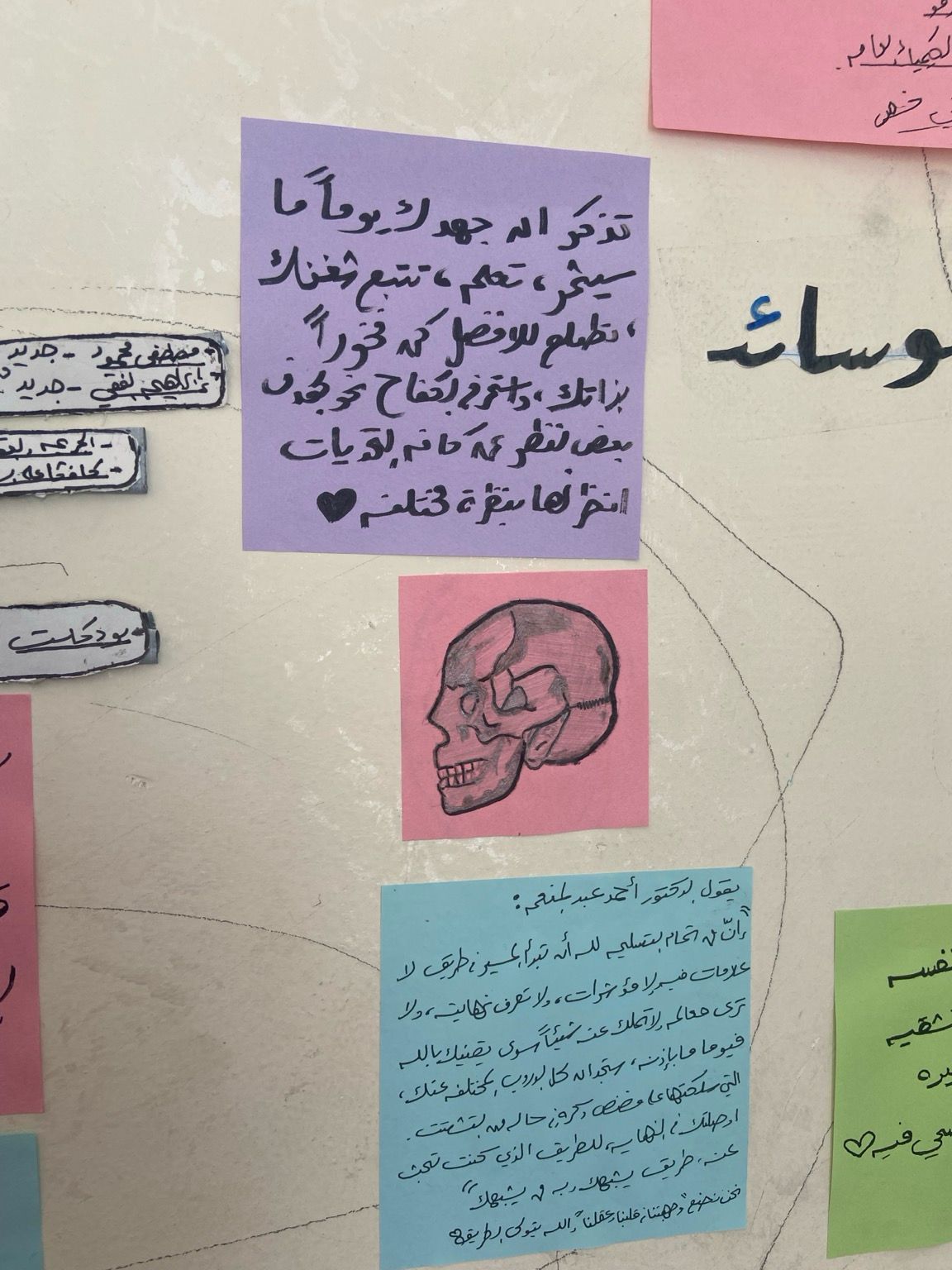 This is a sketch of my sister's skull that I drew.