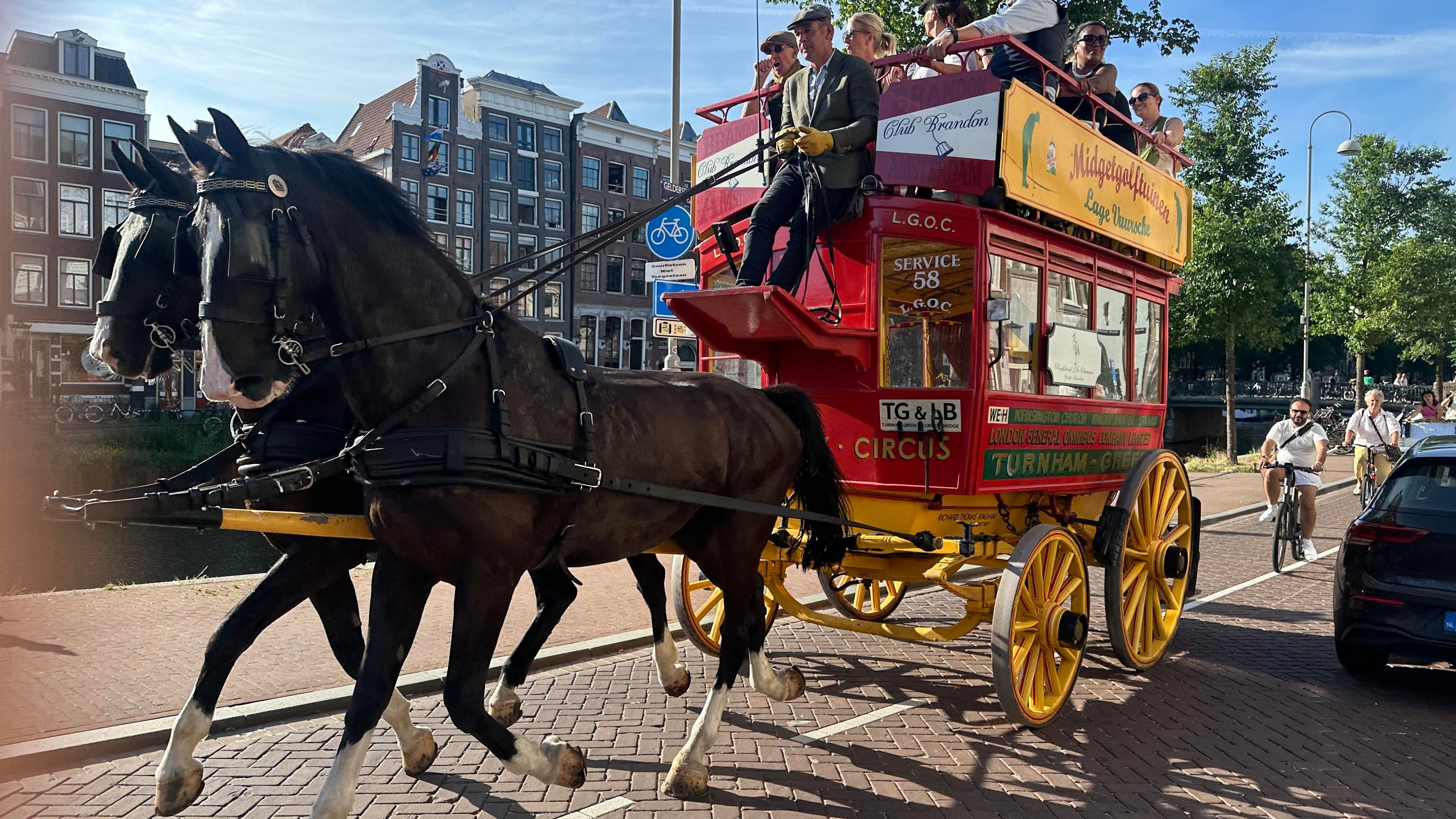 Two horses drawing a large carriage on the bike lane on the side of a brick road. A line of cyclists is waiting to pass. 