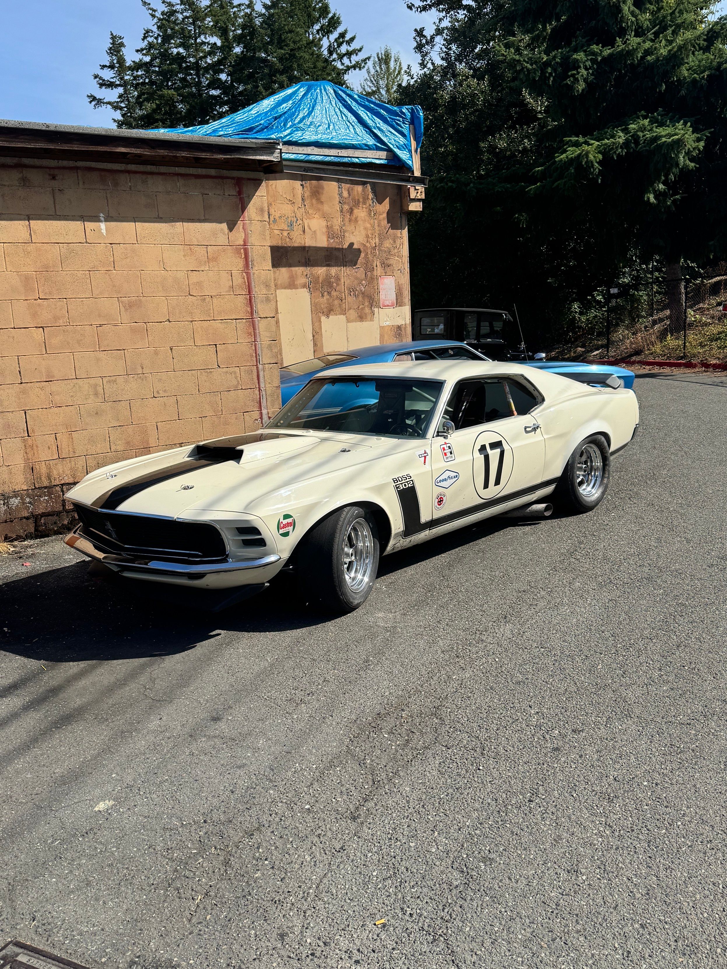 Ford Mustang at car show, race setup, a Mach 1 right behind it.