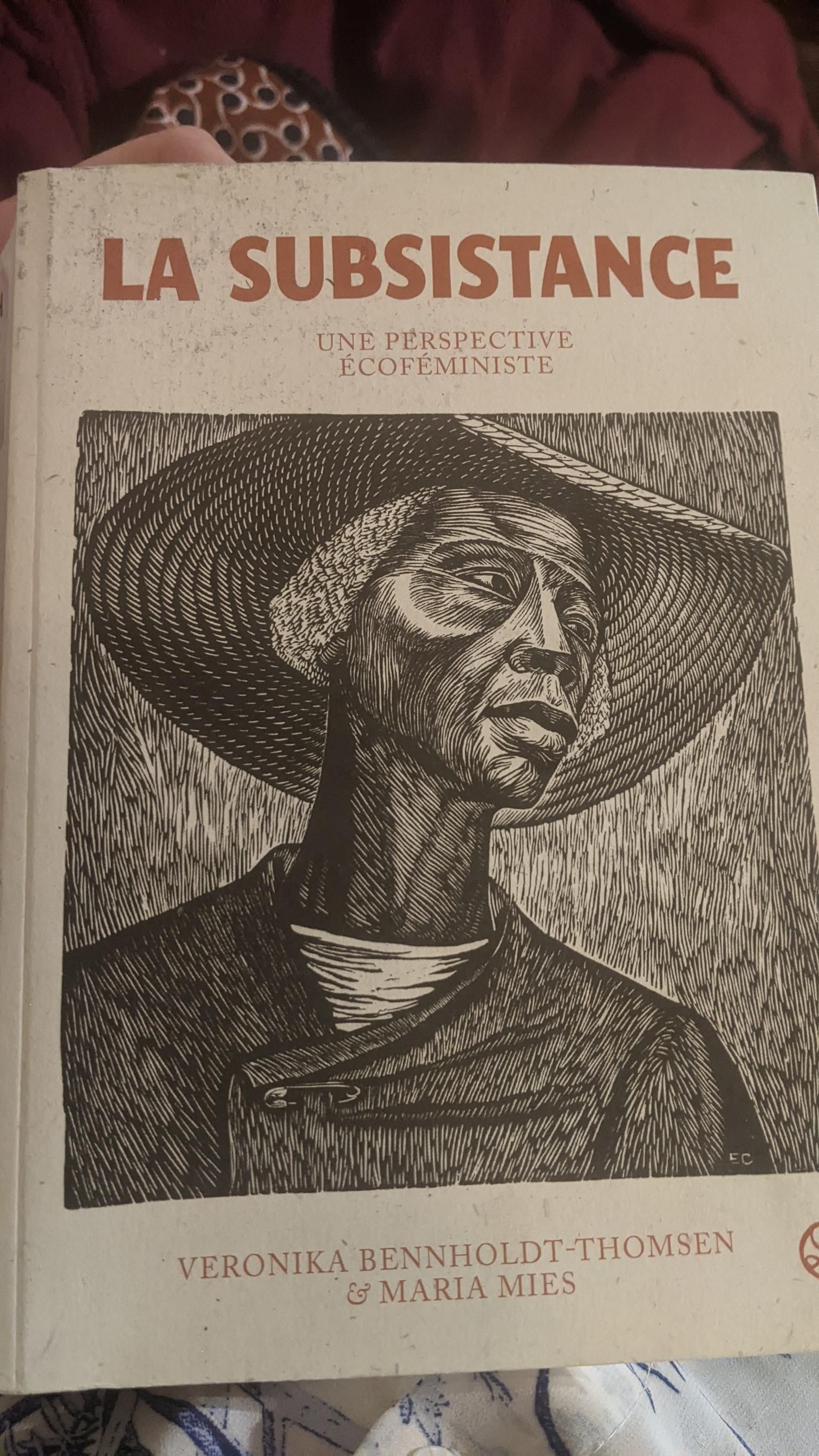 Couverture du livre la subsistance avec une gravure d'un visage de femme noire  avec un chapeau