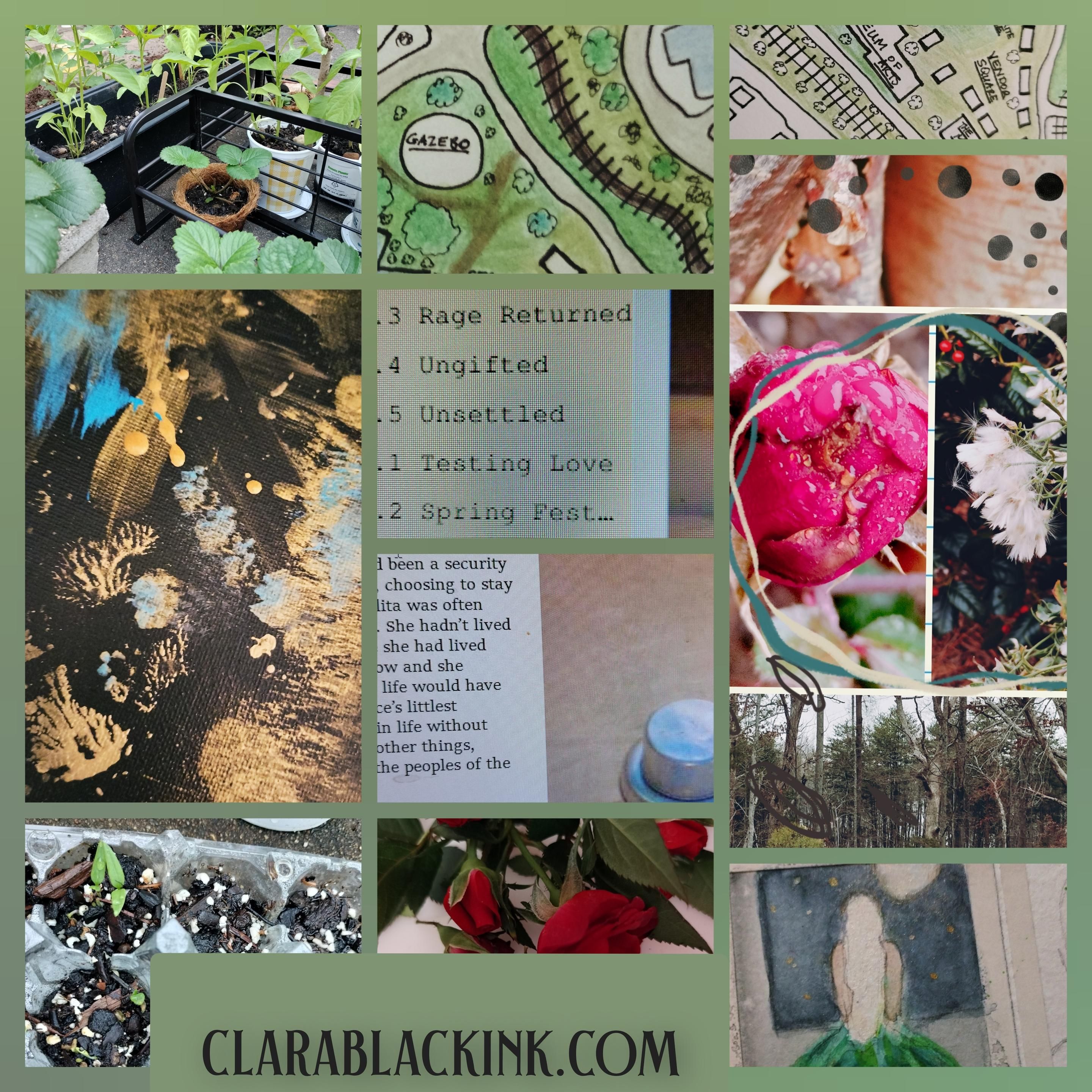 Collage of images. Top row is some plants in planters, a overhead map with a gazebo, some textural images. Next row is abstract art, a chapter guide with titles: Rage Returned, Ungifted, Testing Love, Spring Fest and then images of flowers. Below those are a bit of text that's cut off and an image of a forest. Last row is seedlings, some red rosebuds and a partly finished watercolor of a woman looking at the moon. Final text is a weblink for clara black ink dot com