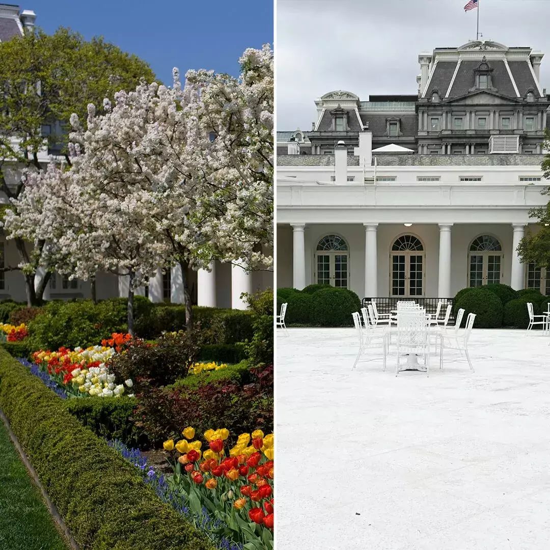 A photo of the rose garden at the White House before Trump paved it over and afterwards, featured by Lucian K. Truscott in a posting today